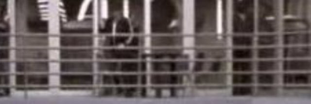 ofidealistic's profile banner image
