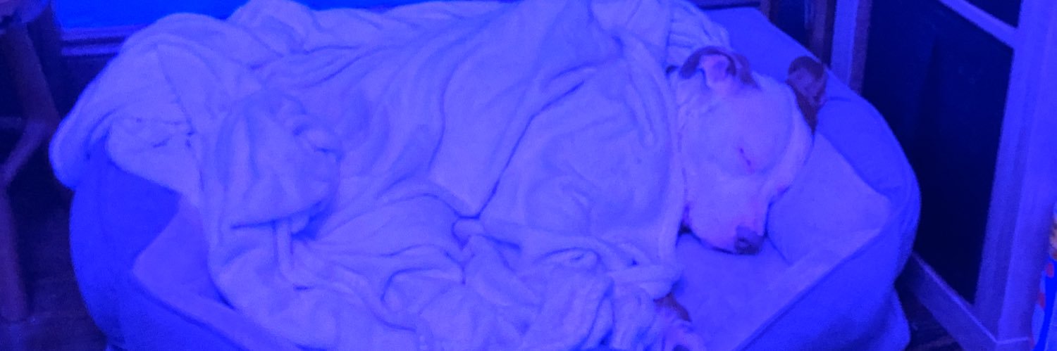 DD6G6's profile banner image