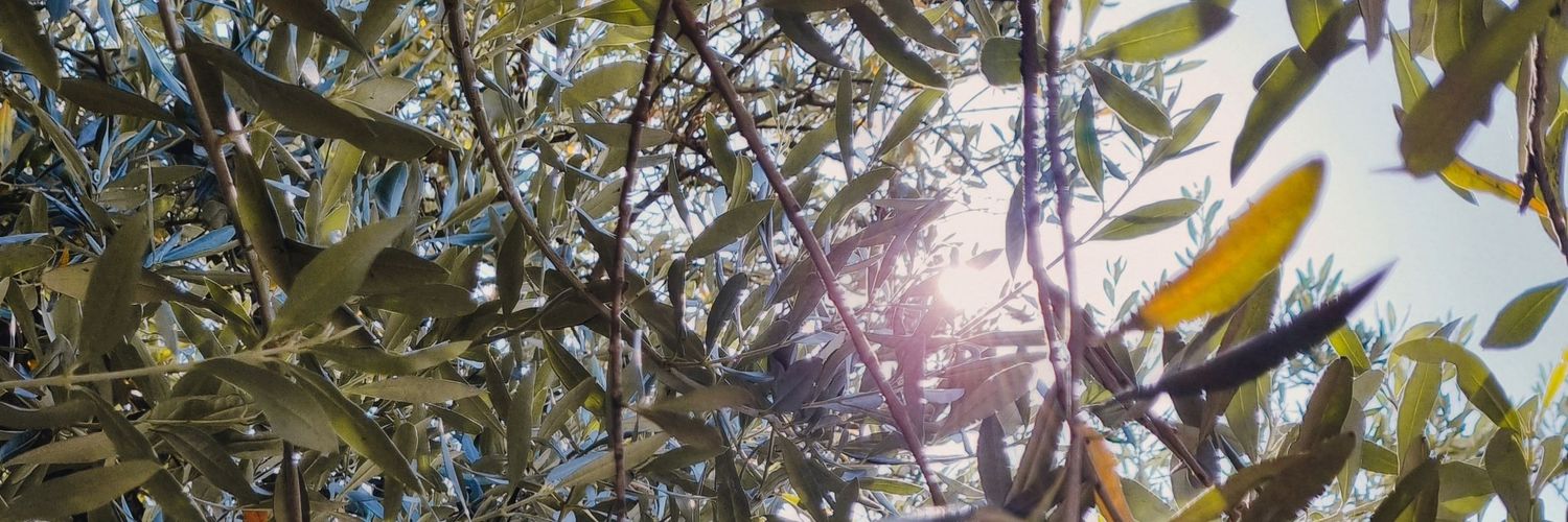 samuel 🏹☀️ #CA11 I05-06 (SAT) banner