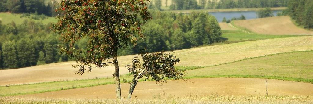 Bartosz Taplar banner