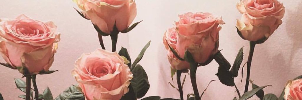 baad_day's profile banner image