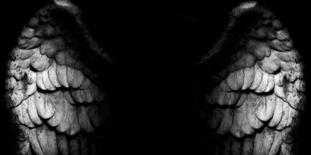 irfandi_arief's profile banner image