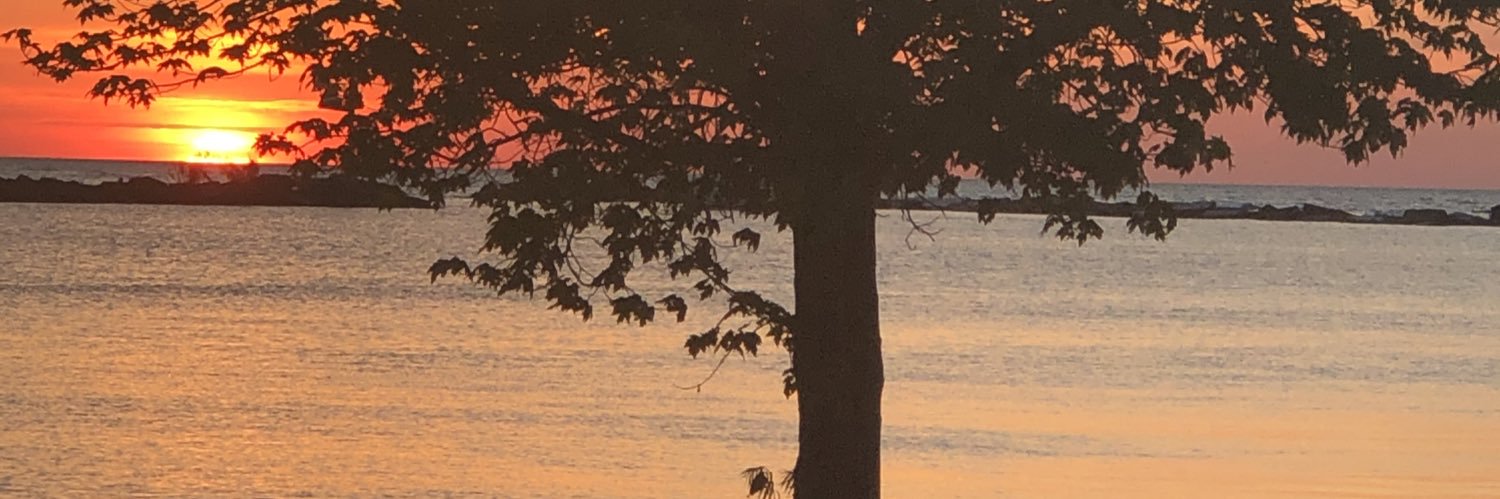 jenwaltke's profile banner image
