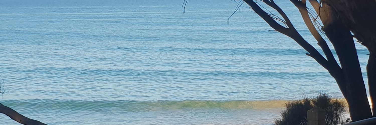 deedeecass11's profile banner image