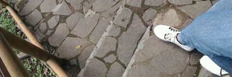 Fitri_Roberts's profile banner image