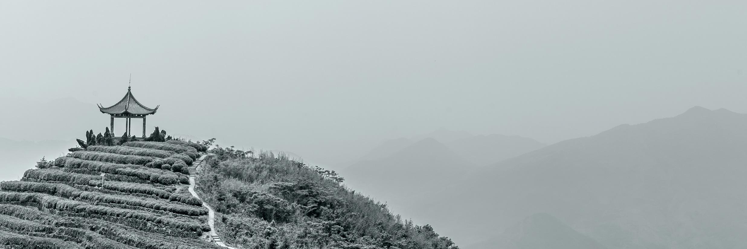 MarkSeiler3's profile banner image