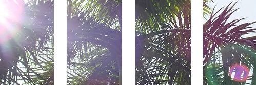 M_Shalaka's profile banner image