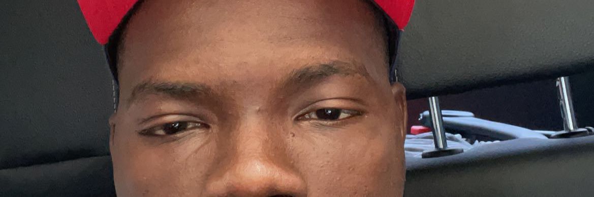thetimifrost's profile banner image