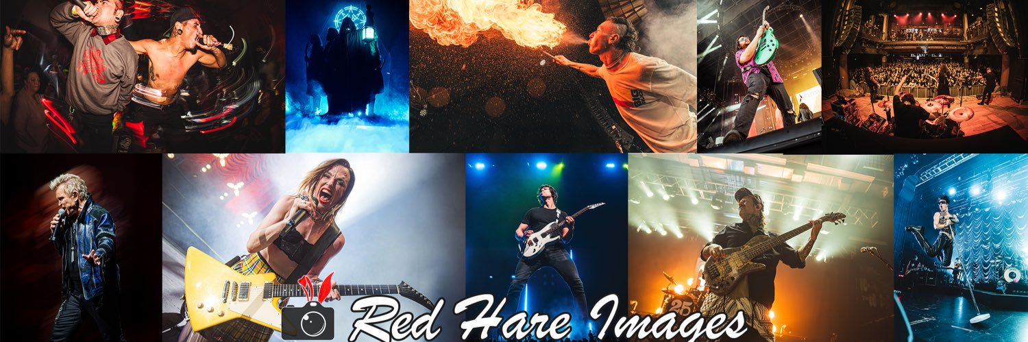 Red Hare Images banner