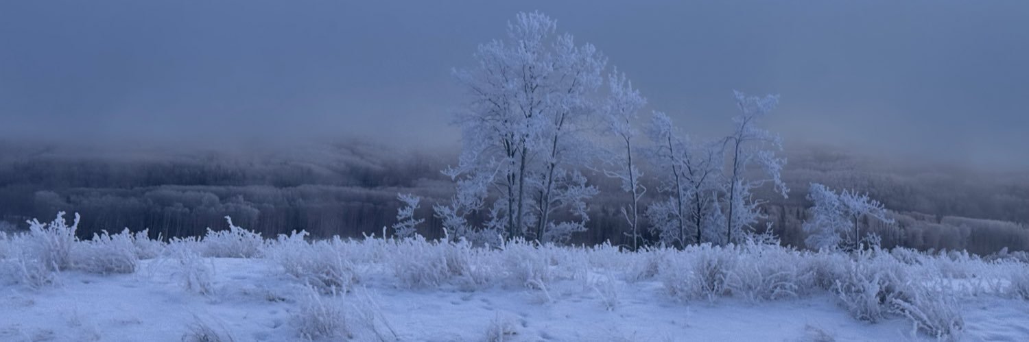 BelangerStephan's profile banner image