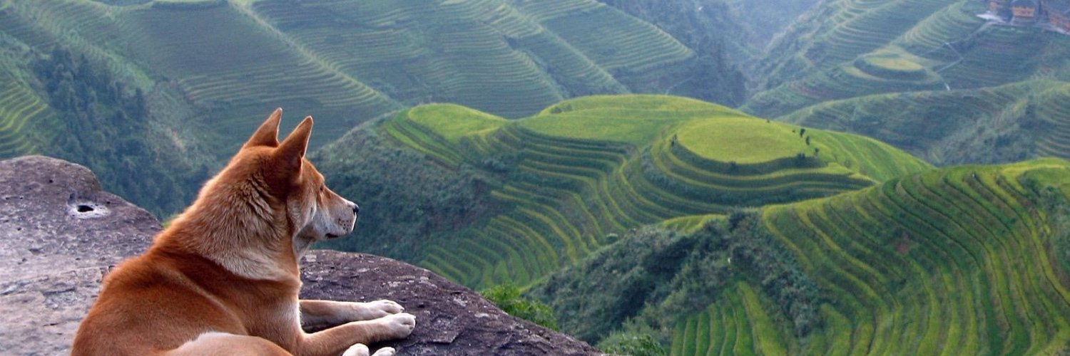 Richard L ✈ banner