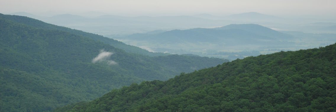 Andrew James™ banner