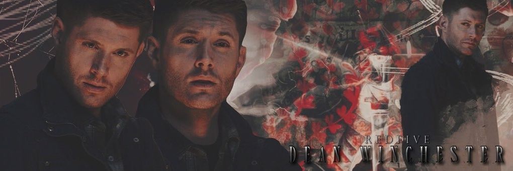 FortisVenandi's profile banner image