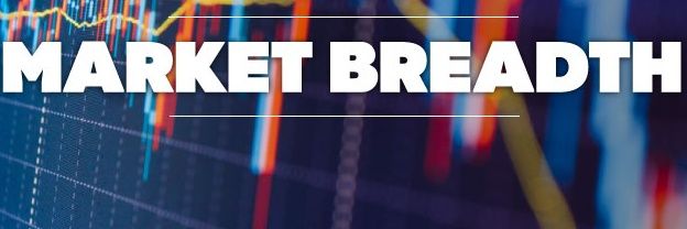 Mrbear banner