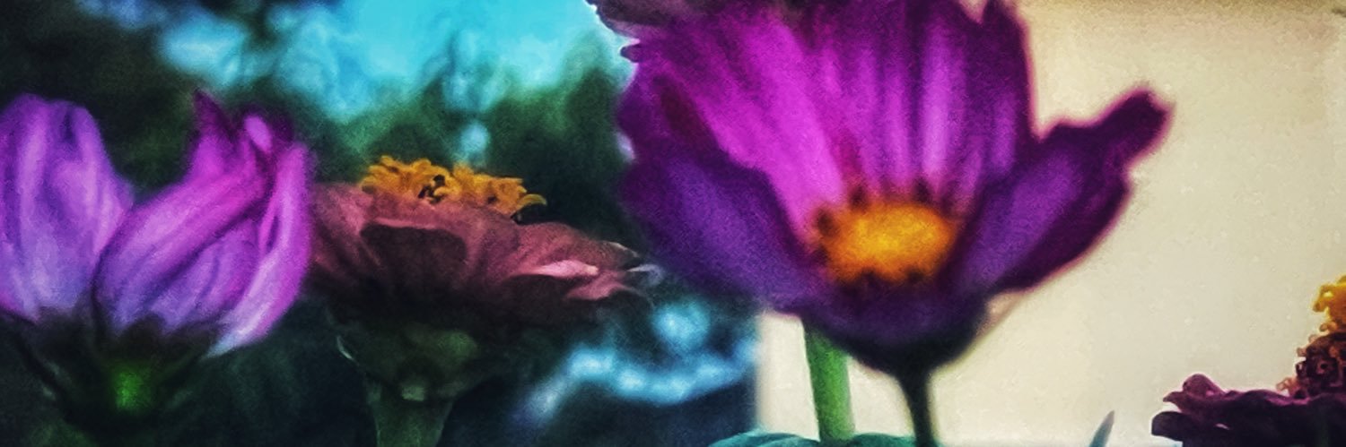 nmjernigan's profile banner image
