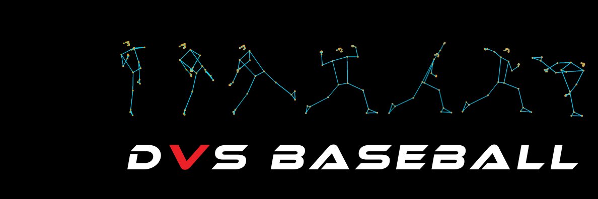 DVS Baseball banner