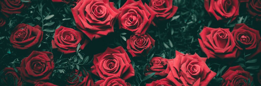 Smariam_'s profile banner image