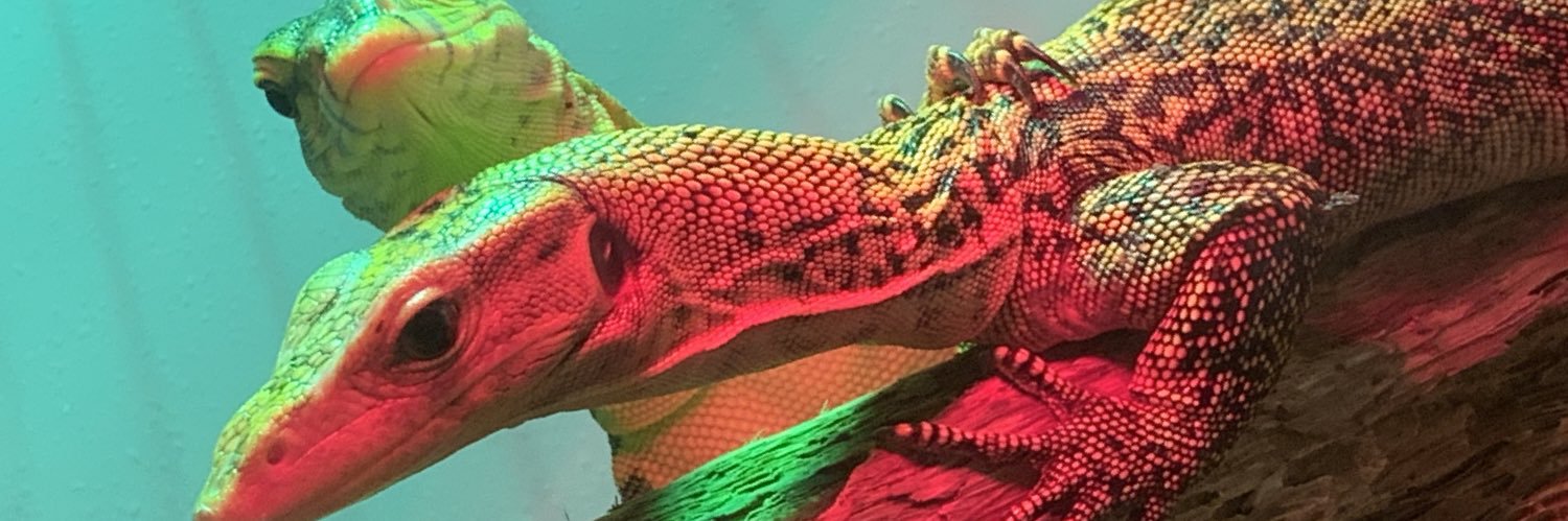 oaie74's profile banner image