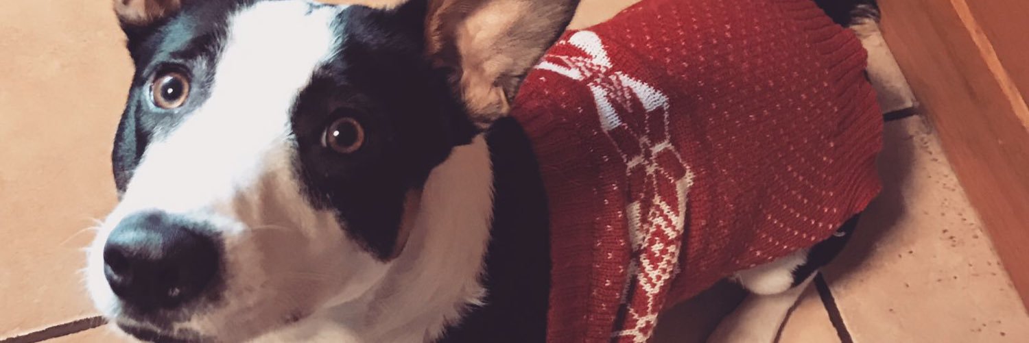 cameronalex18's profile banner image