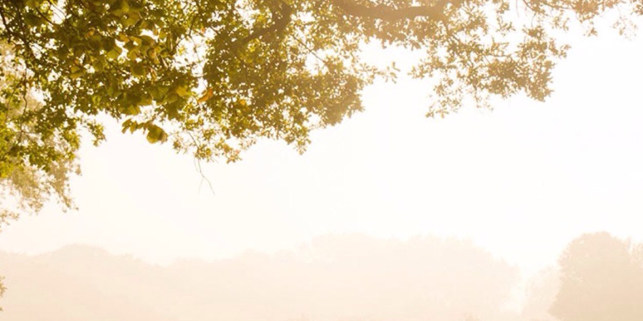 kmitch18's profile banner image