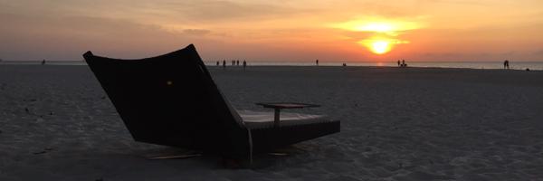 PolishedTweeter Profile Banner