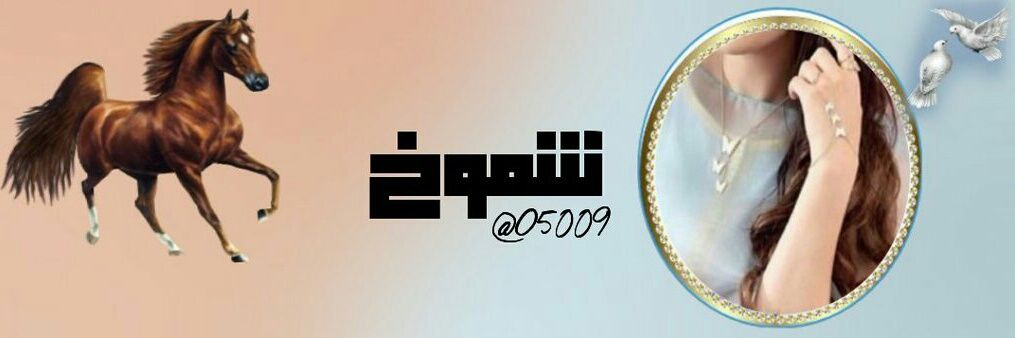 O5009's profile banner image