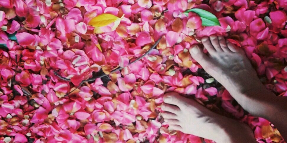 tspsucre's profile banner image