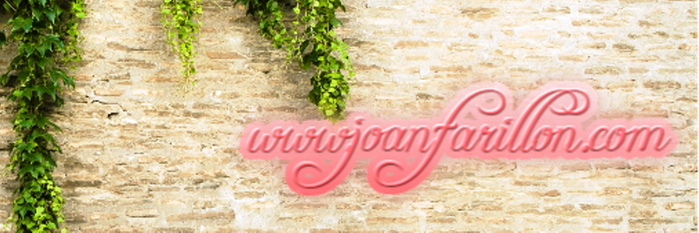 Joan Farillon banner