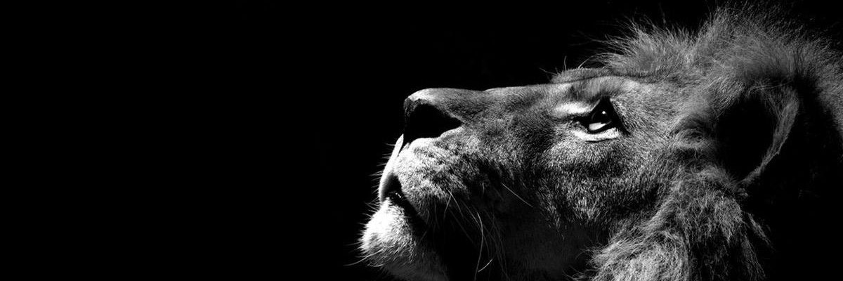 asulmd's profile banner image