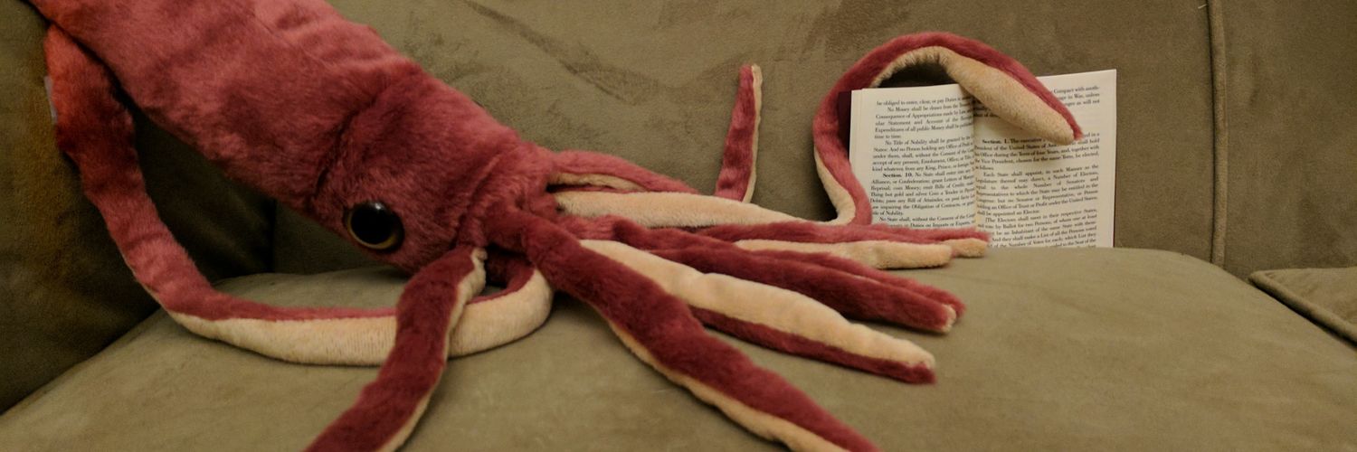 SquidMeets's profile banner image