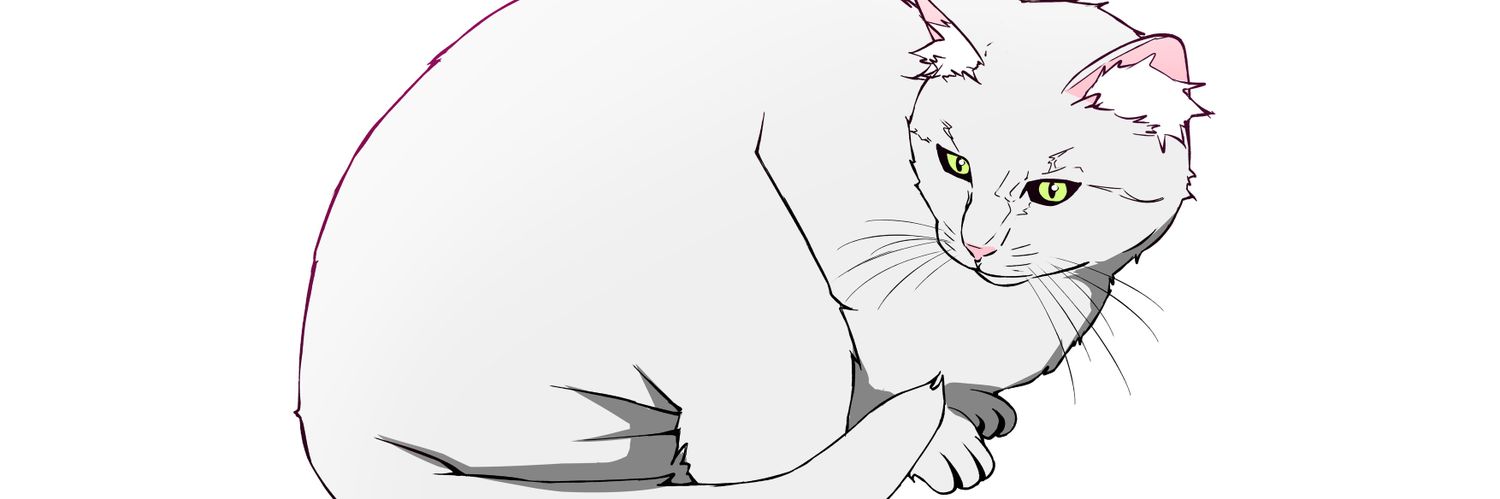 Shororo0's profile banner image