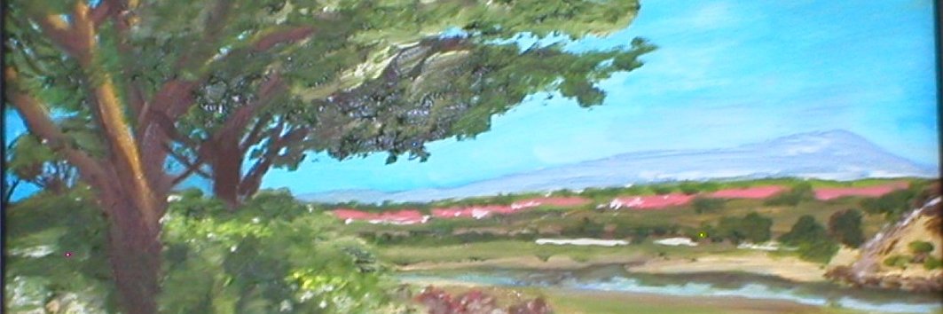 MitchellBrown's profile banner image