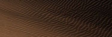 rau banner