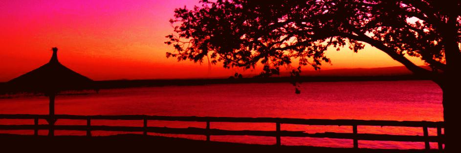 xtiannectar's profile banner image