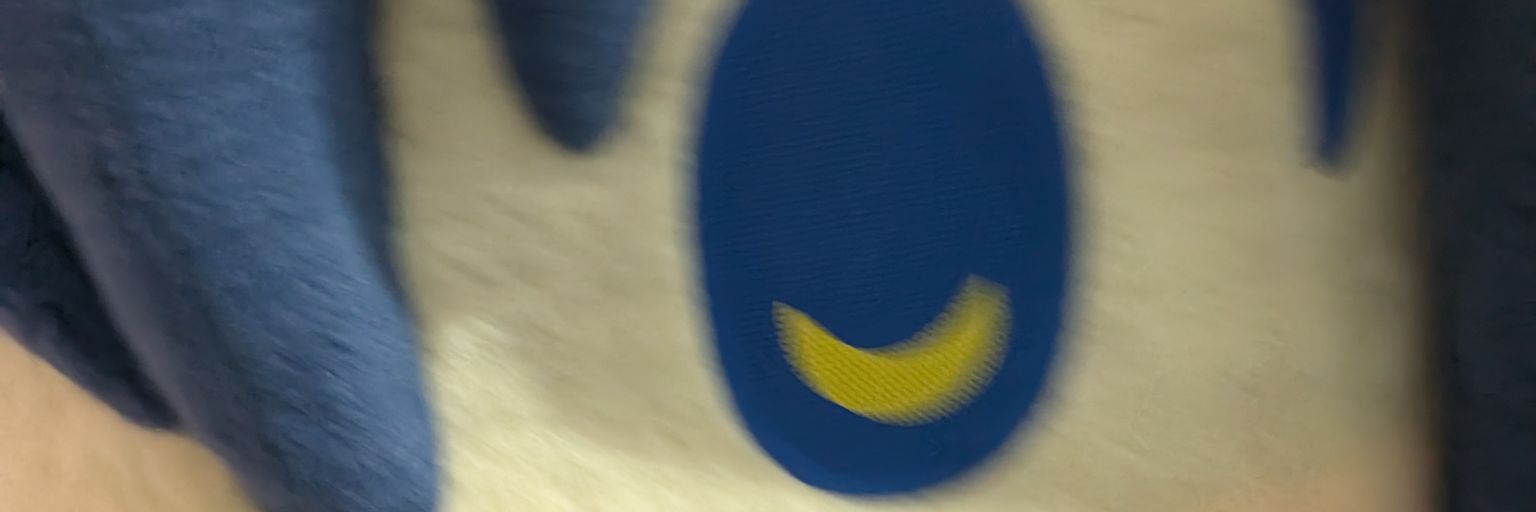 GORIIIIIIIIIIIN's profile banner image