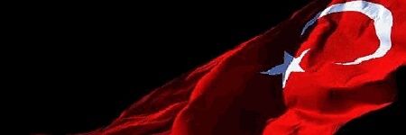kulgi's profile banner image