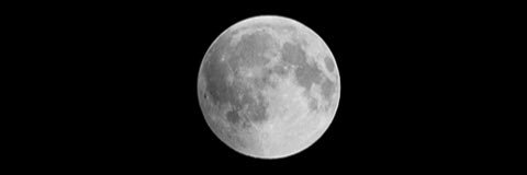 wymitsjosh's profile banner image