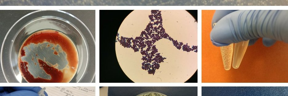 Dr Muireann Fallon banner