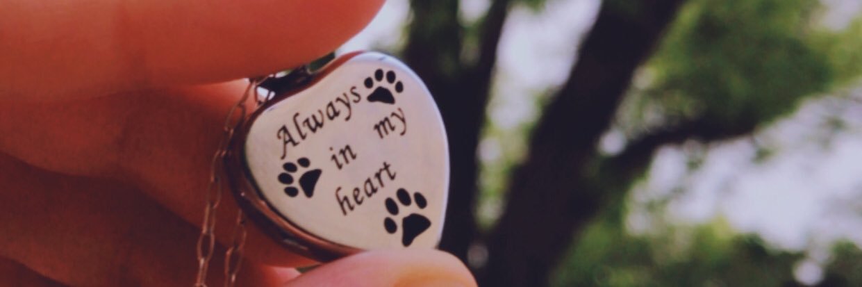 daniela_lc23's profile banner image