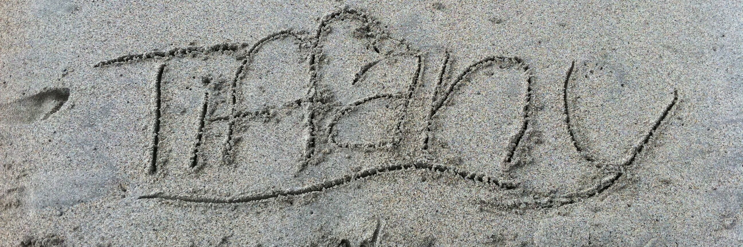 MsTiffATC's profile banner image