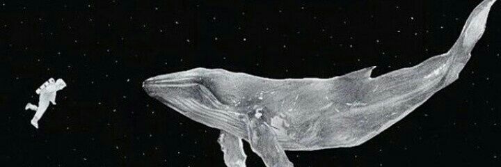 kscumrt's profile banner image