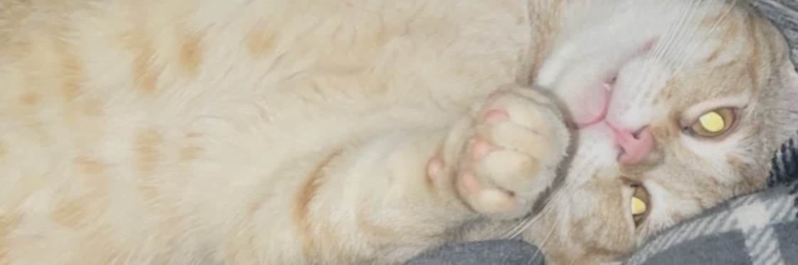 NikkiNovy_'s profile banner image