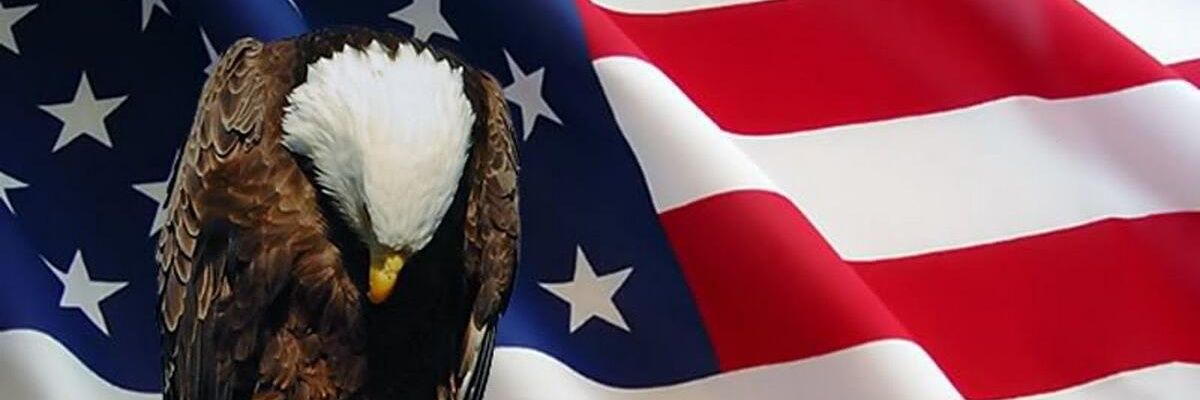 rscattone's profile banner image