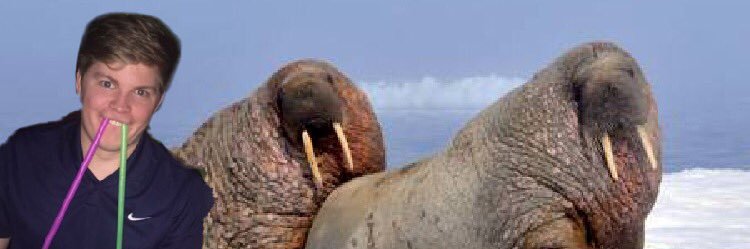 Robert Alan Hall banner