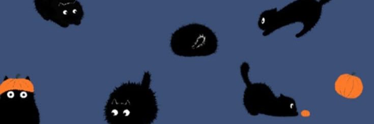 ali4umy's profile banner image