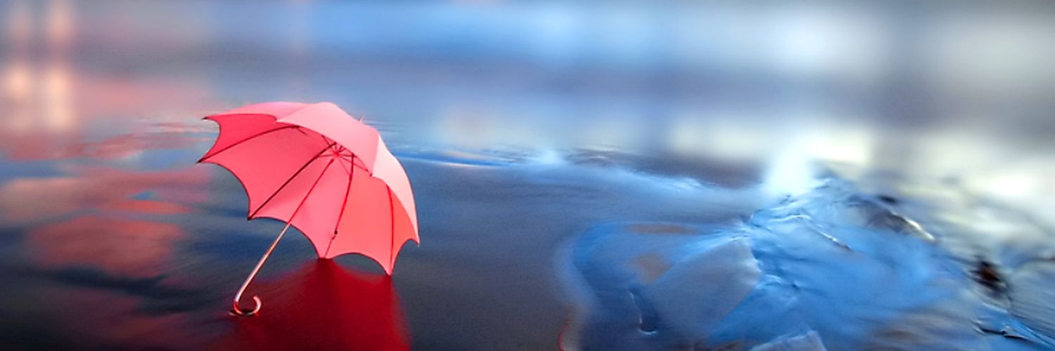 JessieSnoddon banner