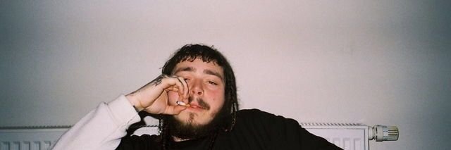 Disguised Post banner