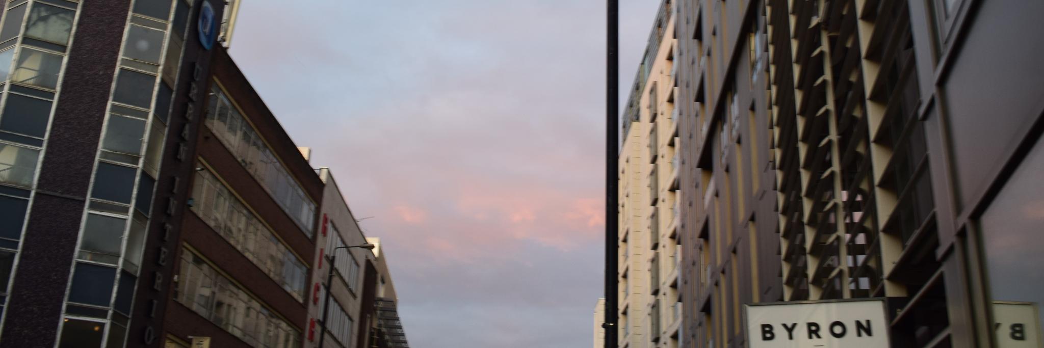 maiawickham's profile banner image