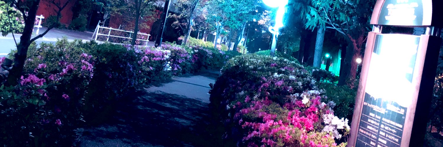 Lapinsouriant's profile banner image