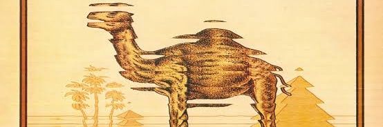 kopyakalpler06's profile banner image